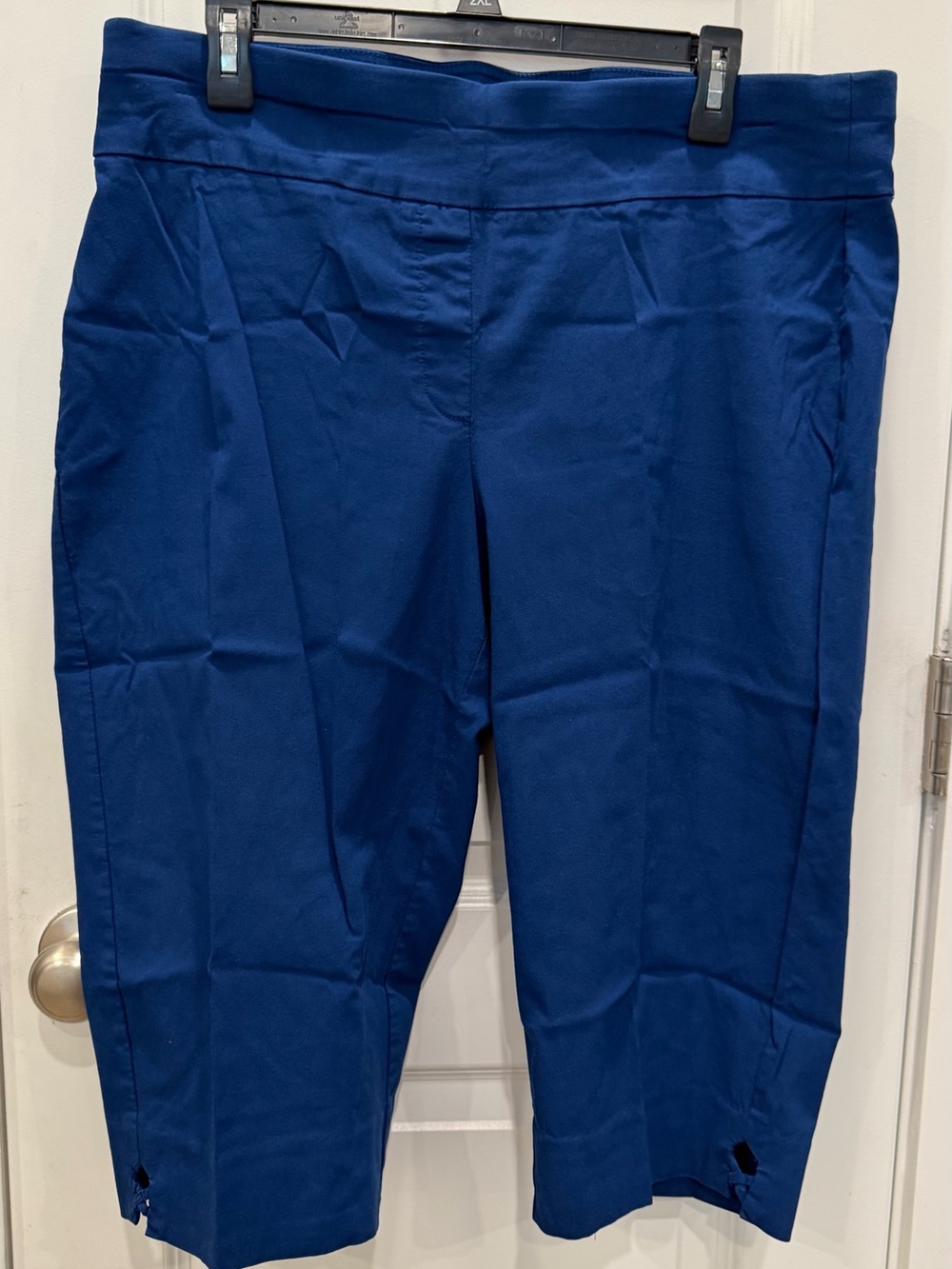 Ruby Rd. Royal Blue Stretch Capri Pants